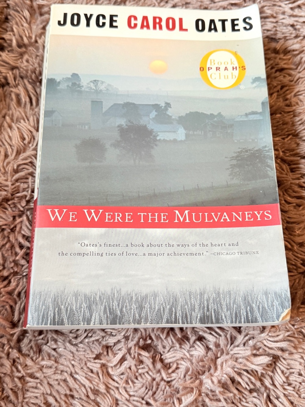 We Were the Mulvaneys by Joyce Carol Oates psychological fiction